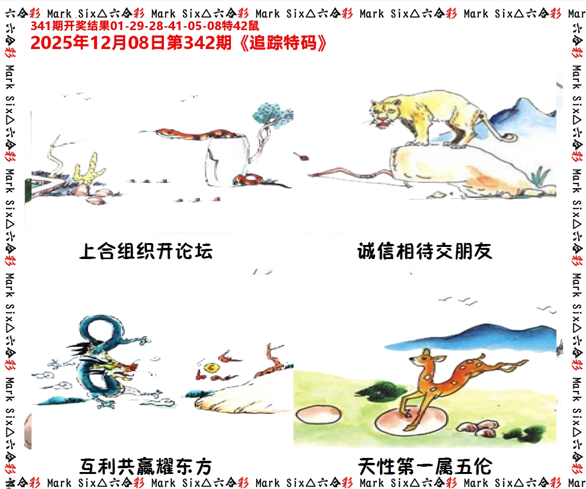 追踪特码 第342期