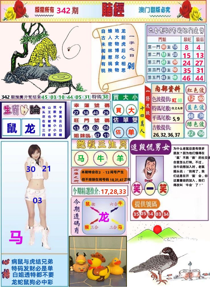 澳门赌经 第342期