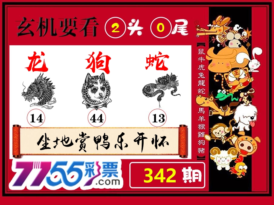 玄机要看 第342期