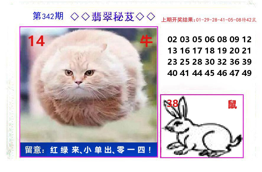 翡翠秘芨 第342期