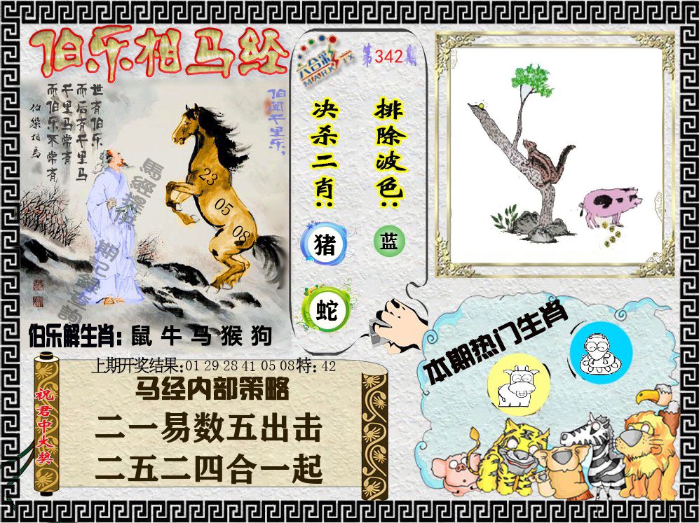 伯乐相马经 第342期