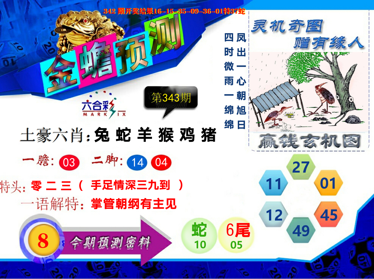 金蟾预测 第343期