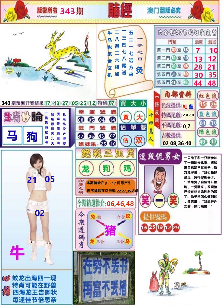 澳门赌经 第343期