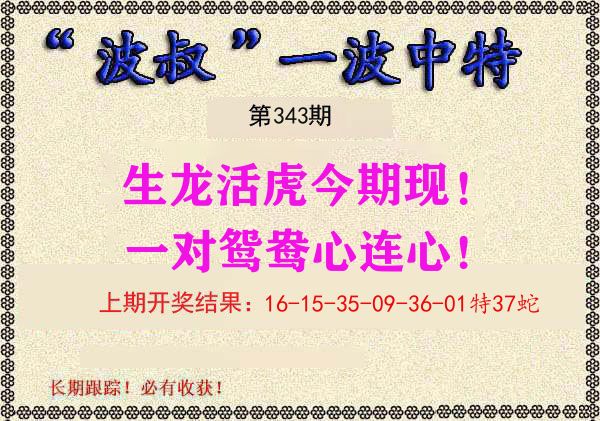 波叔中特 第343期