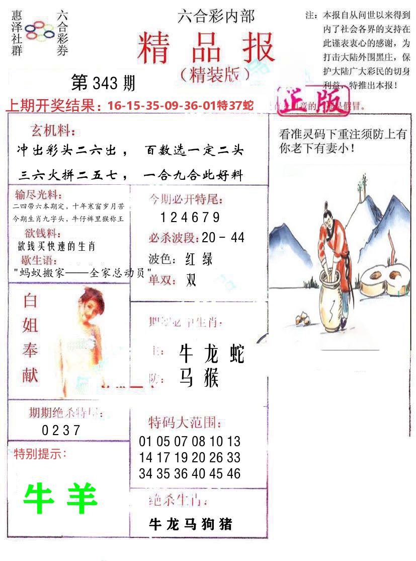 精品报 第343期