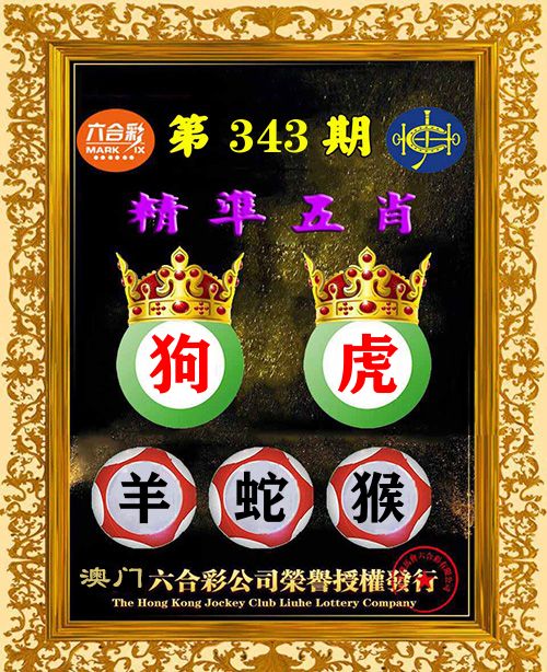精准五肖 第343期