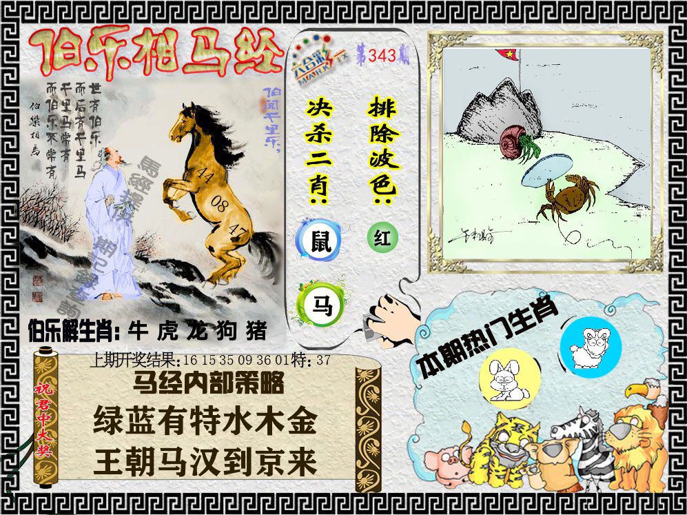 伯乐相马经 第343期