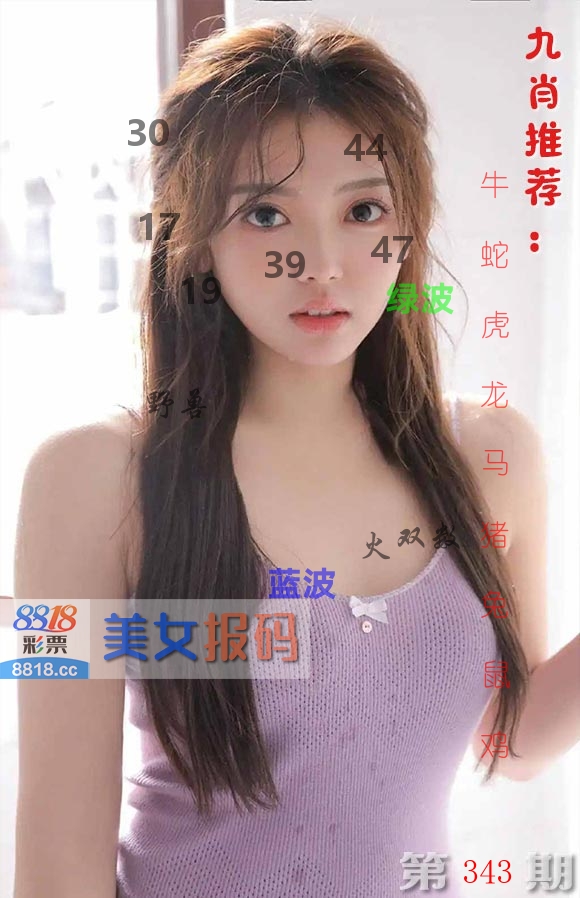 美女报码 第343期