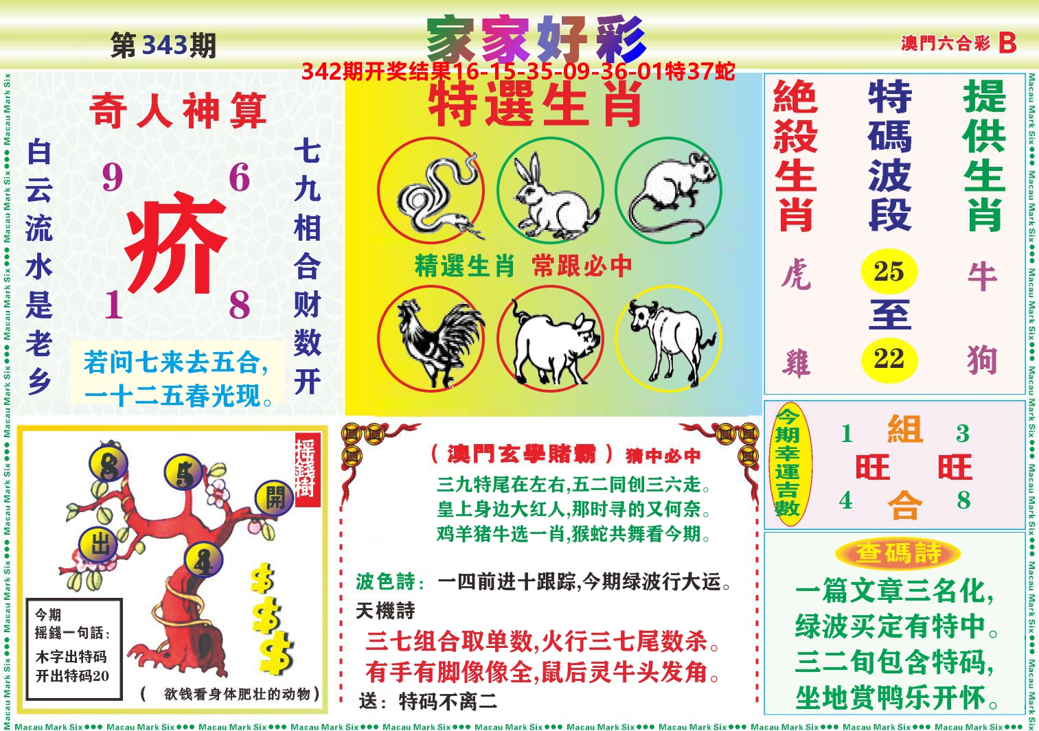 家家好彩B 第343期