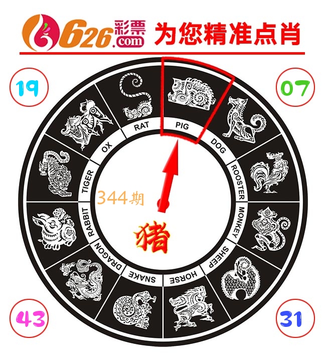 精准点肖 第344期