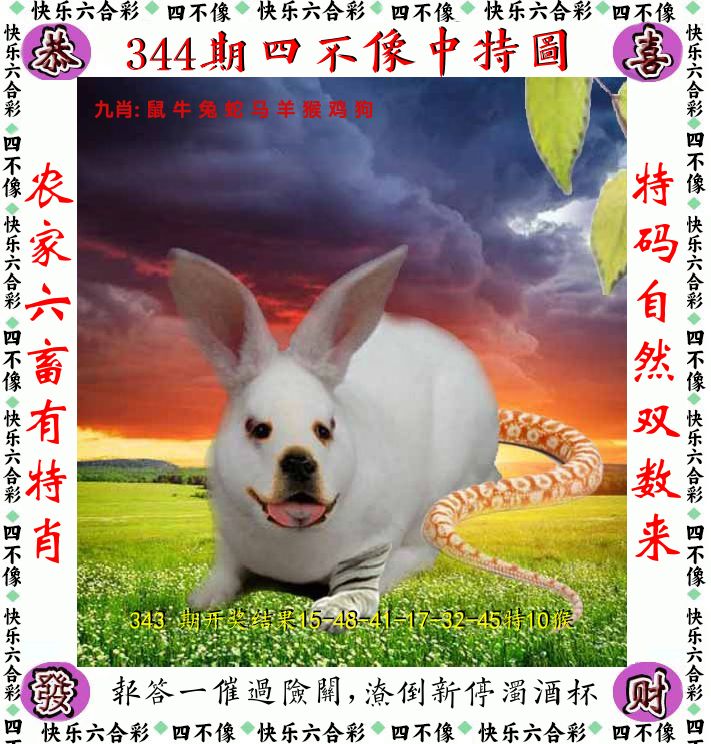 四不像 第344期