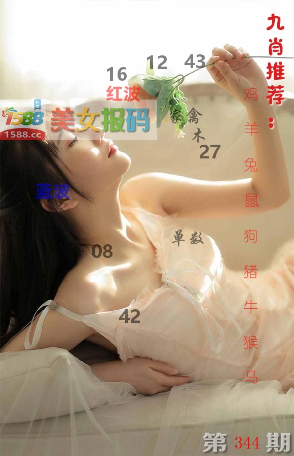 美女报码 第344期