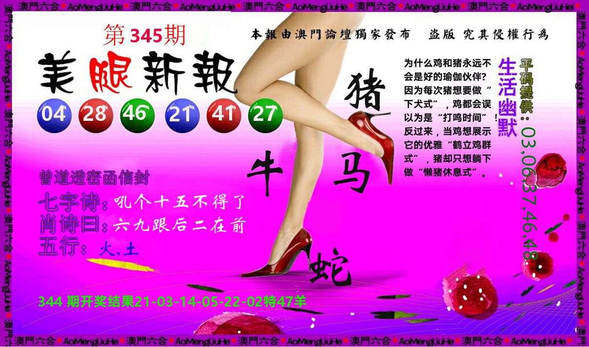 美腿新报 第345期