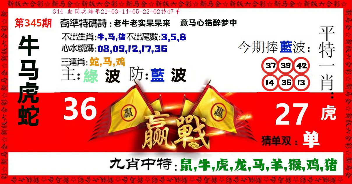赢站 第345期