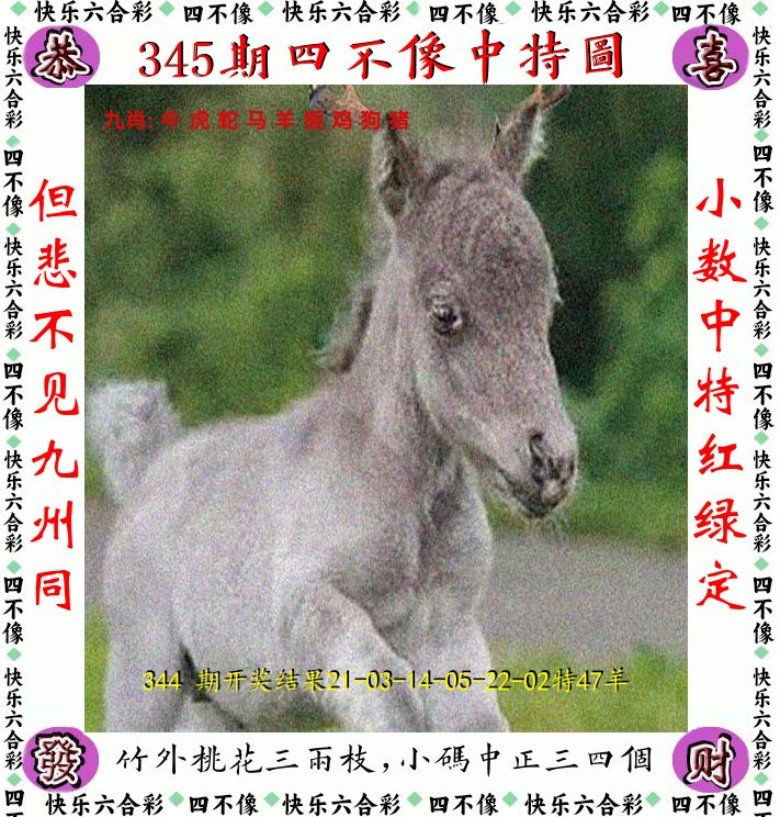 四不像 第345期