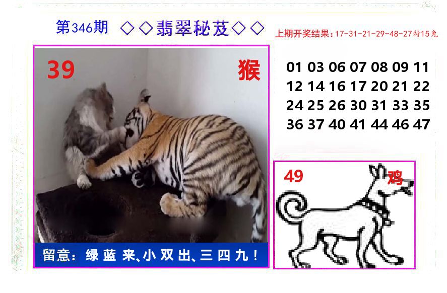 翡翠秘芨 第346期