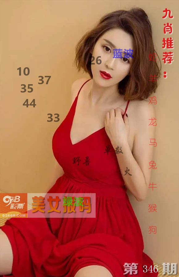 美女报码 第346期