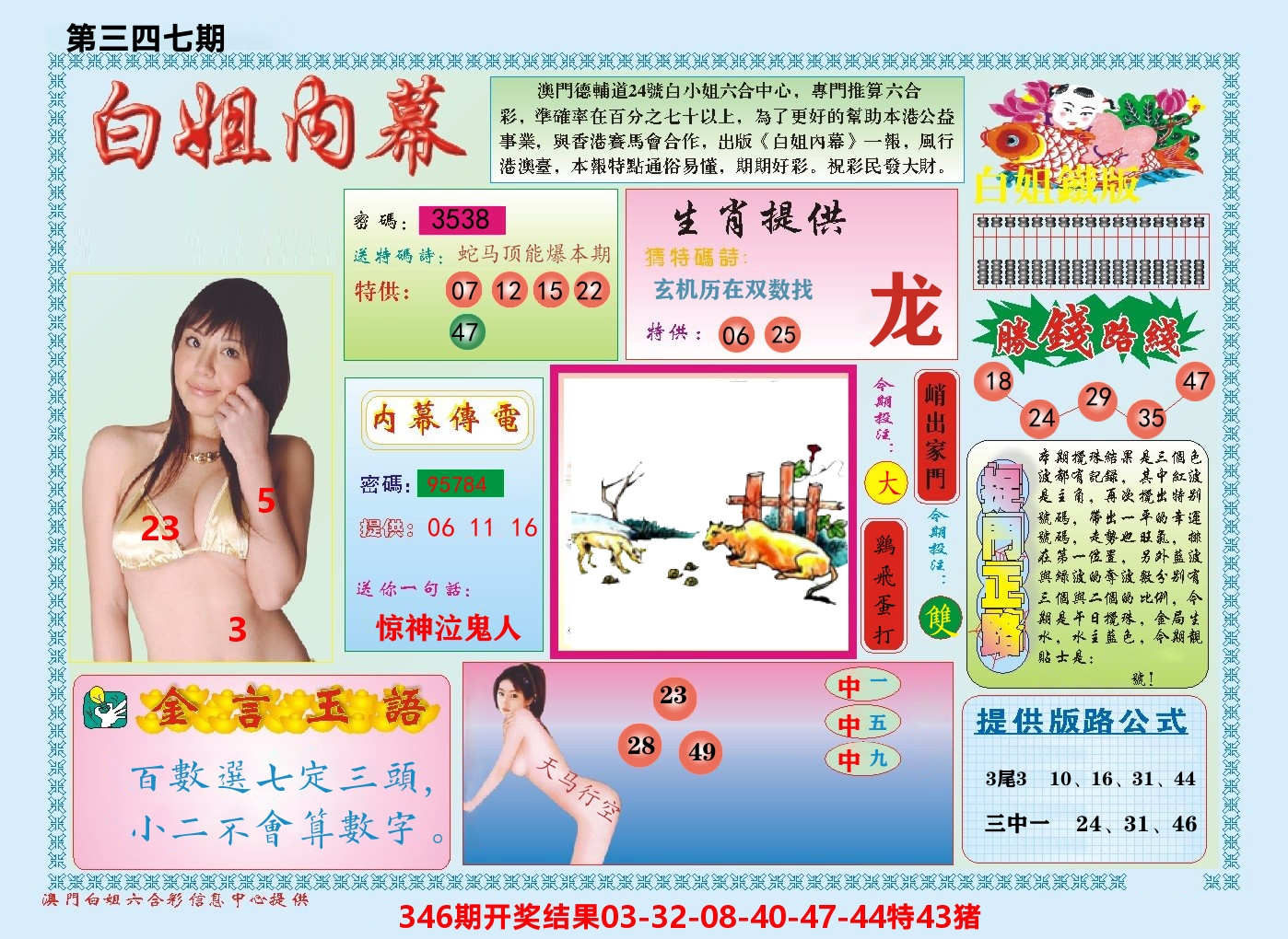 澳门白姐内幕 第347期