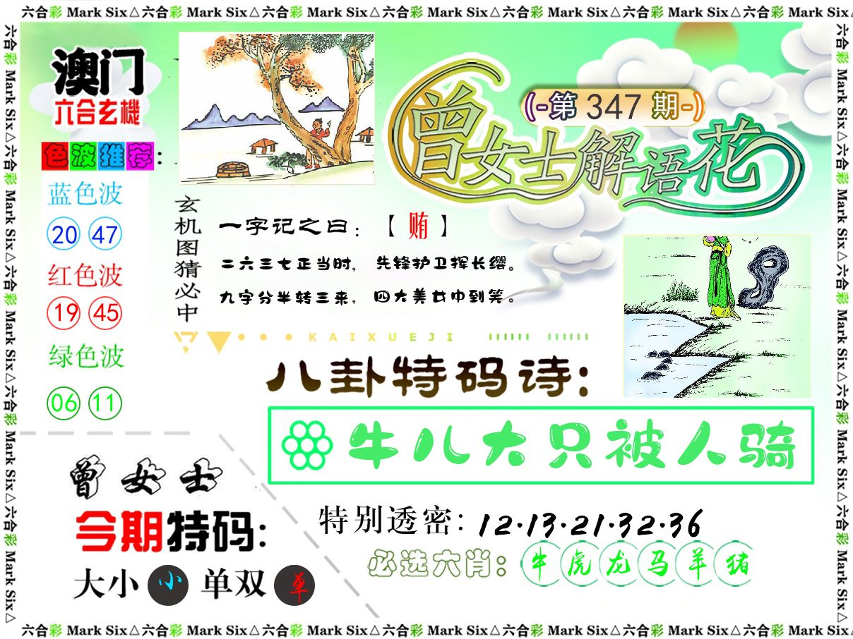 曾女士解语花 第347期