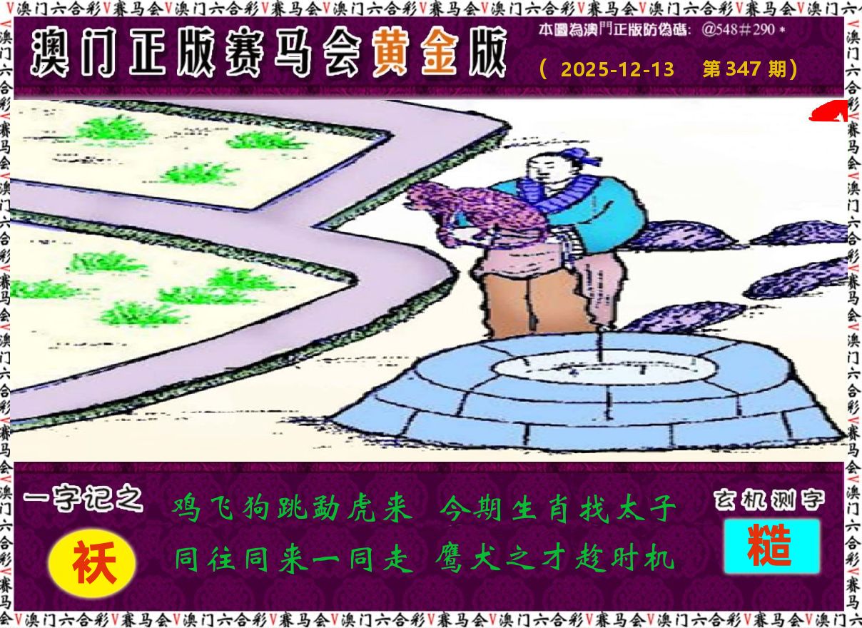 赛马会黄金版 第347期