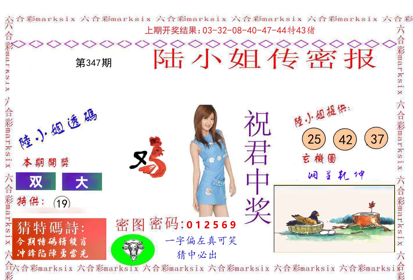 陆小姐密报 第347期
