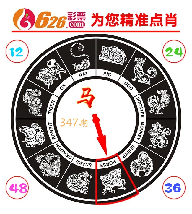 精准点肖 第347期