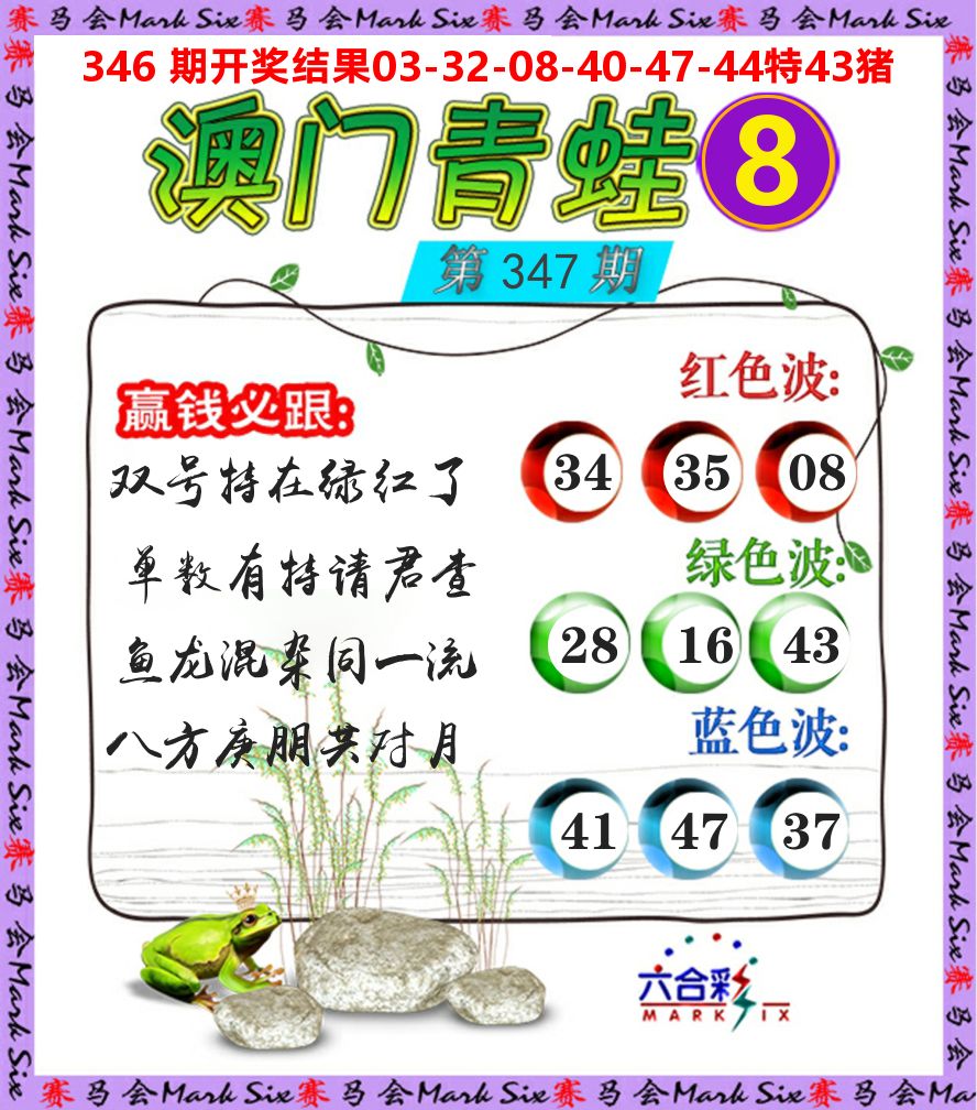 青蛙系列8 第347期