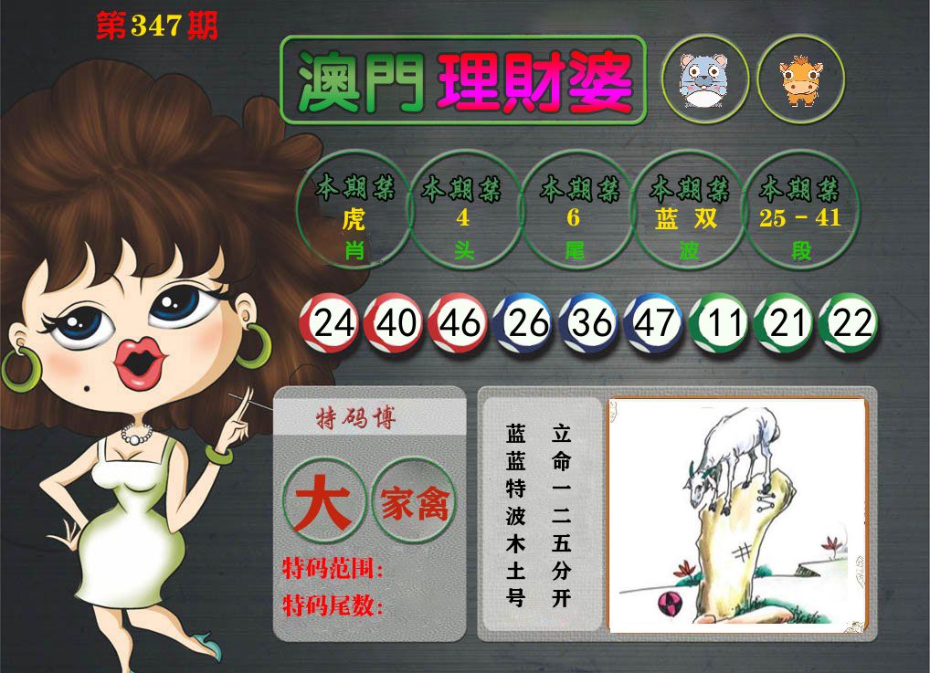 理财婆 第347期