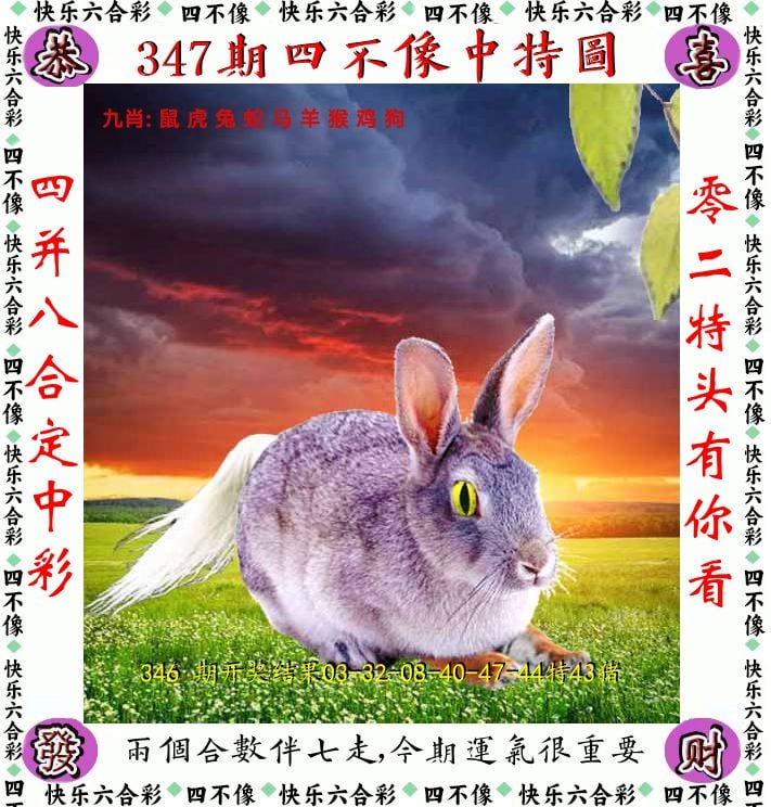 四不像 第347期