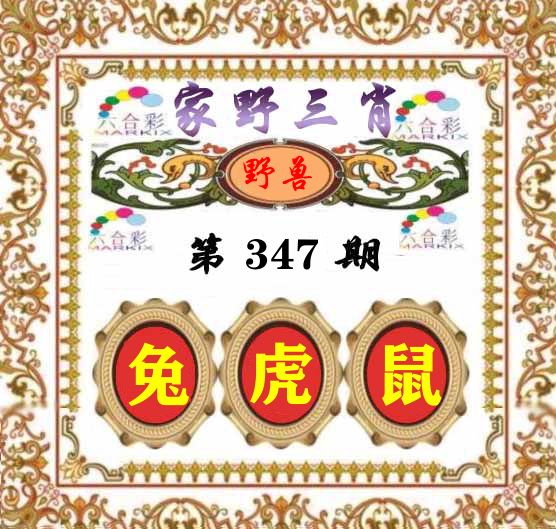 家野三肖 第347期