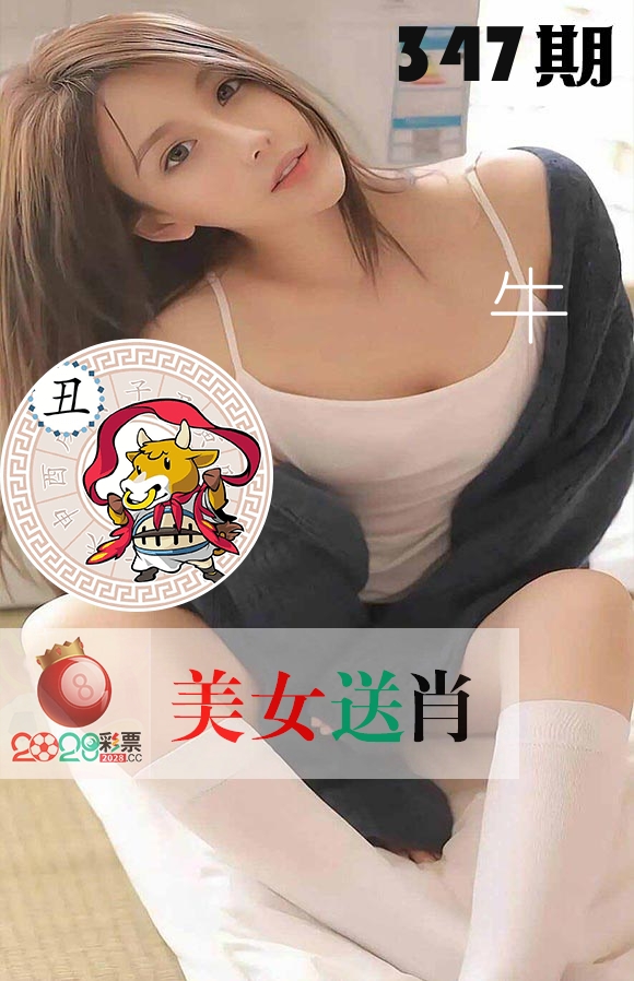 美女送肖 第347期