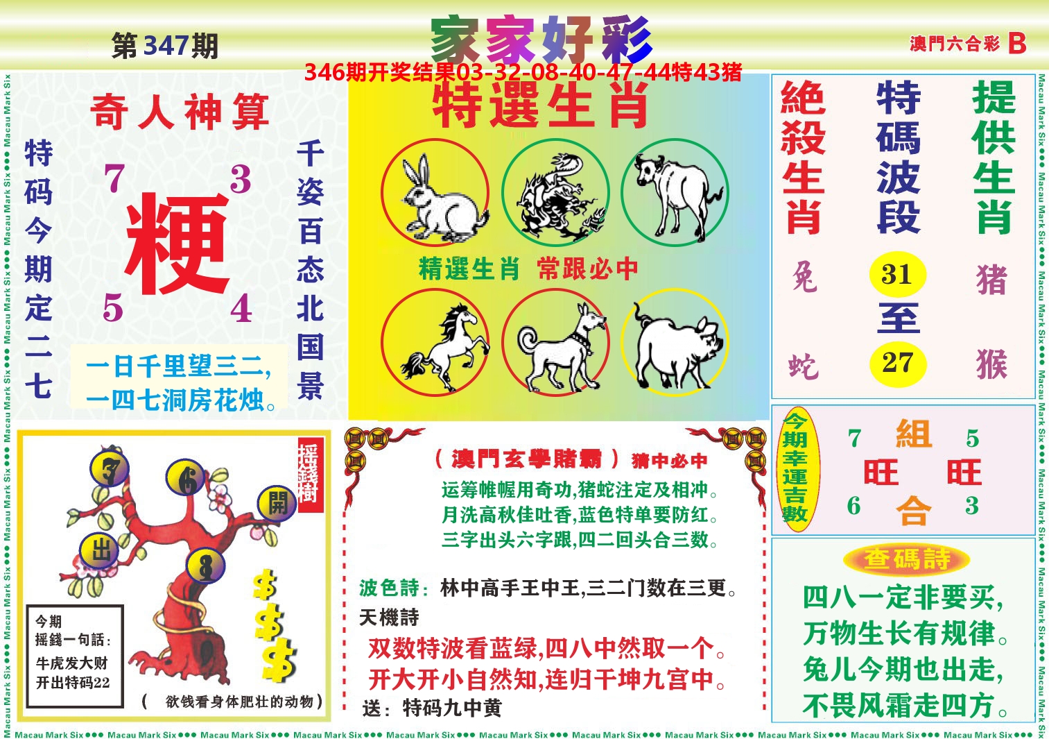 家家好彩B 第347期