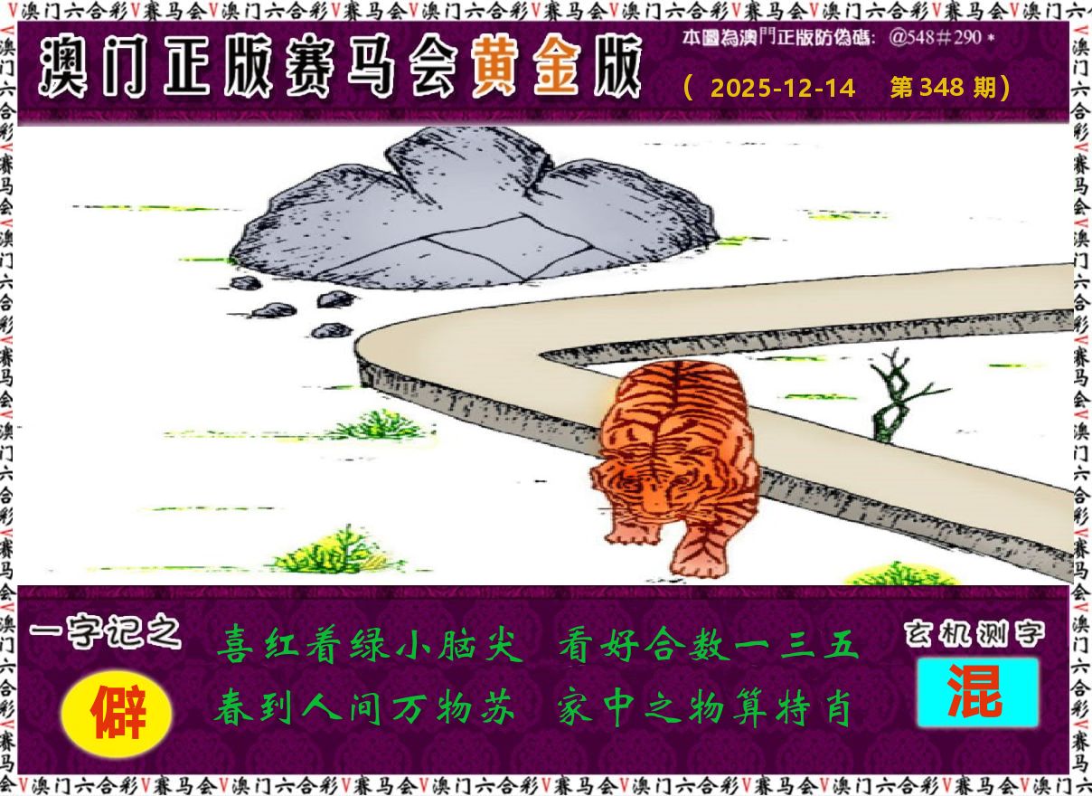 赛马会黄金版 第348期