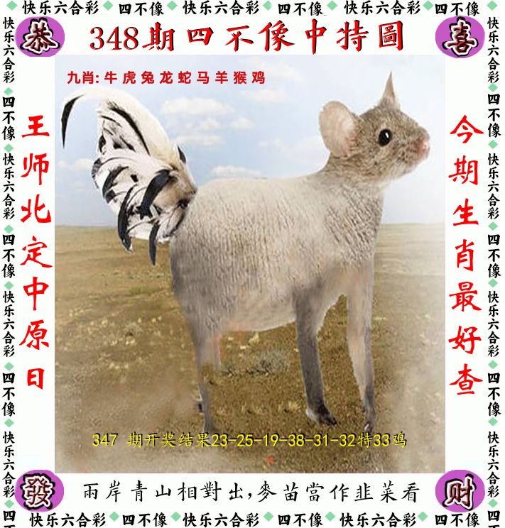 四不像 第348期