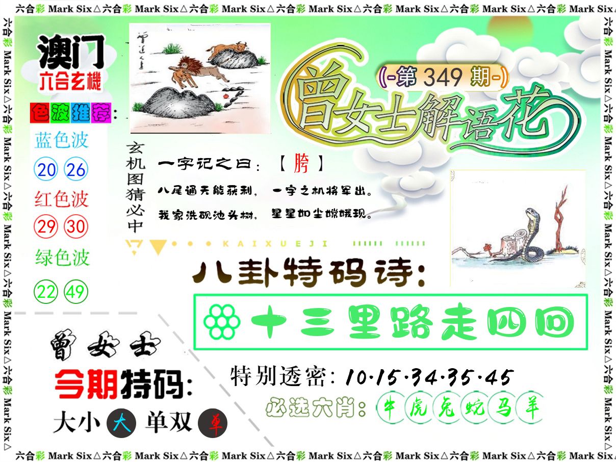 曾女士解语花 第349期
