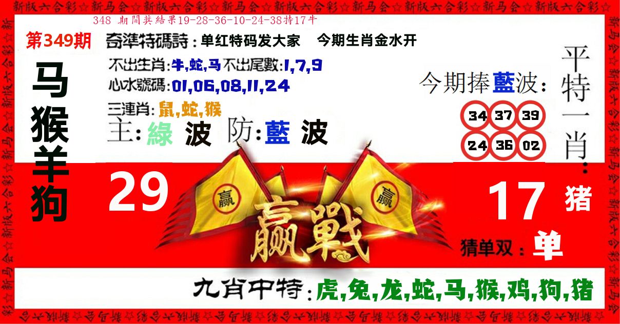 赢站 第349期