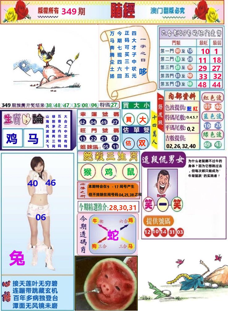 澳门赌经 第349期