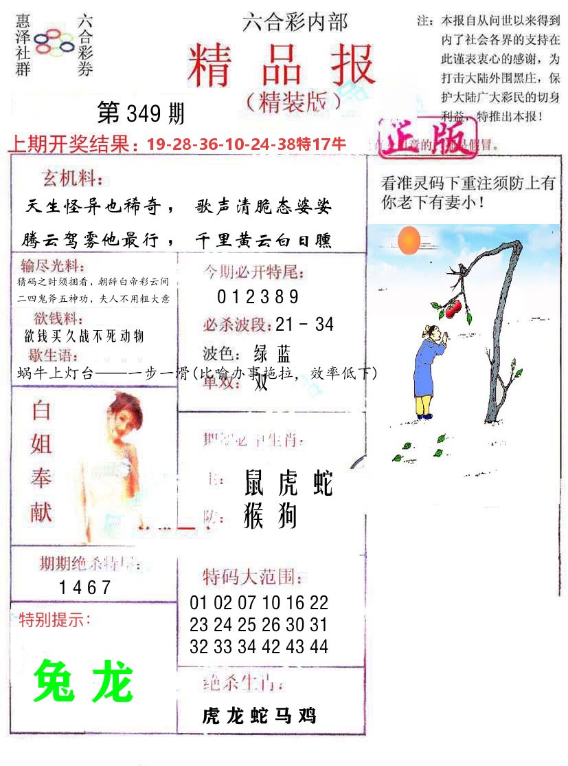 精品报 第349期