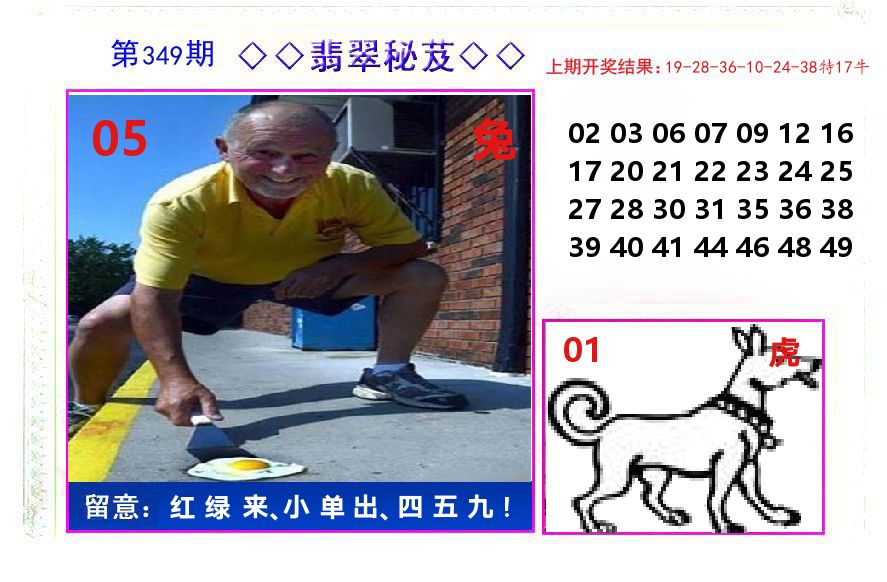 翡翠秘芨 第349期