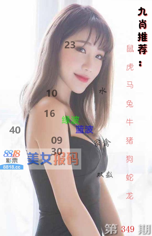 美女报码 第349期