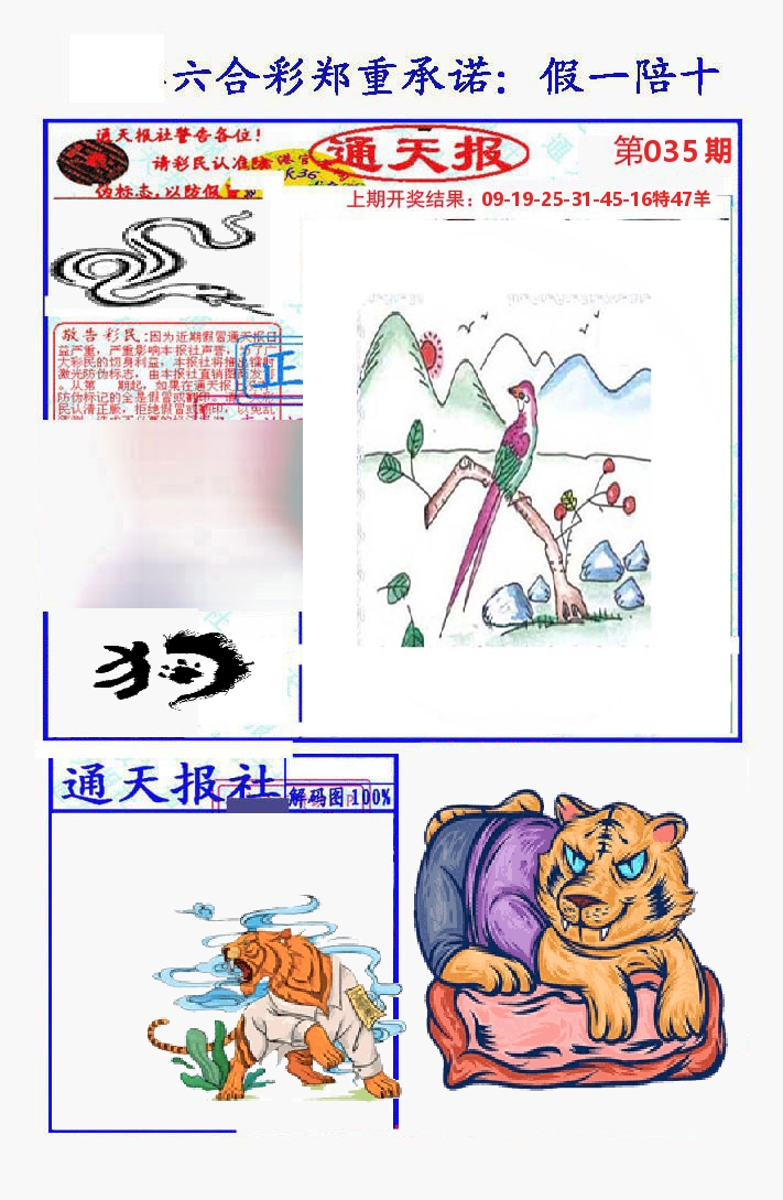 通天报 第35期
