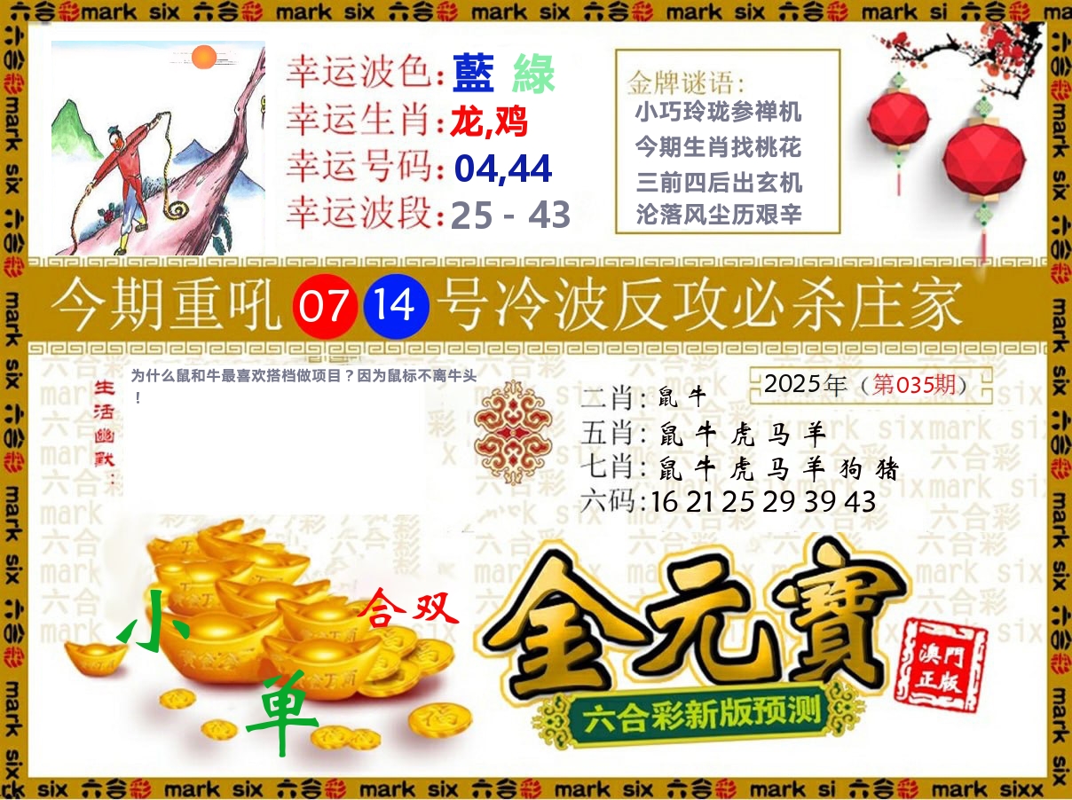 金元宝 第35期