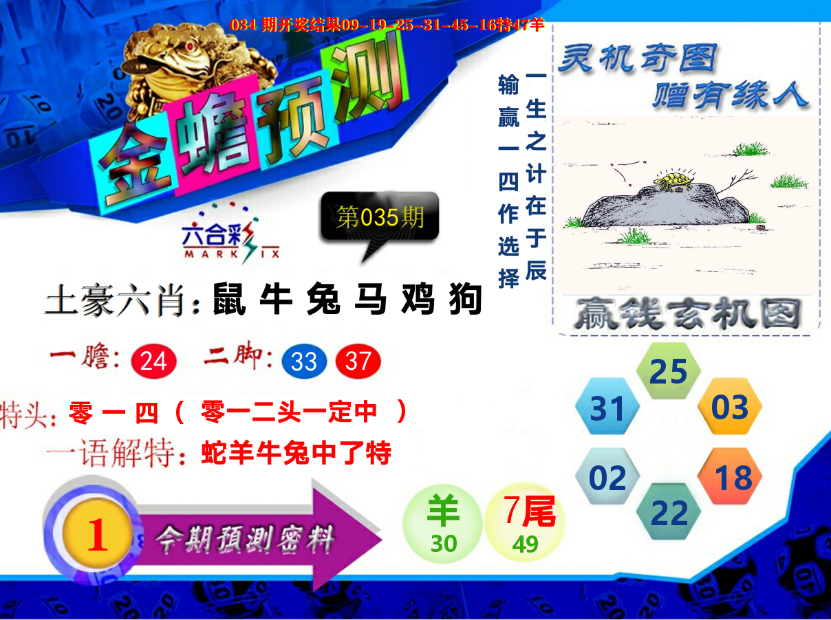 金蟾预测 第35期