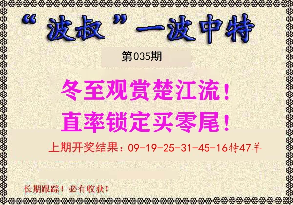 波叔中特 第35期