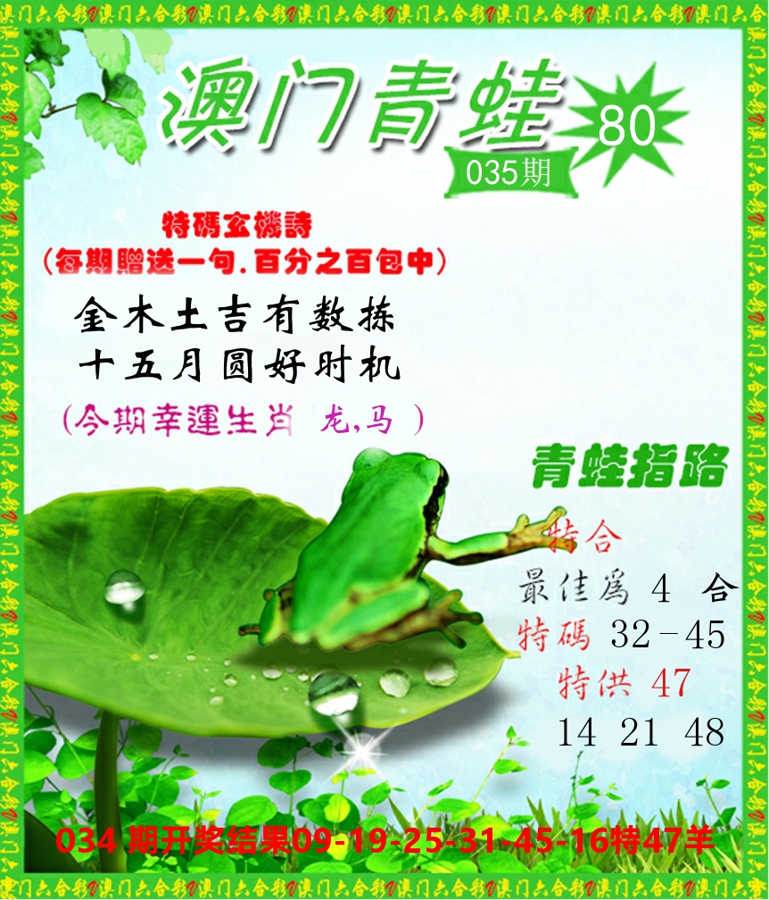 青蛙系列80 第35期