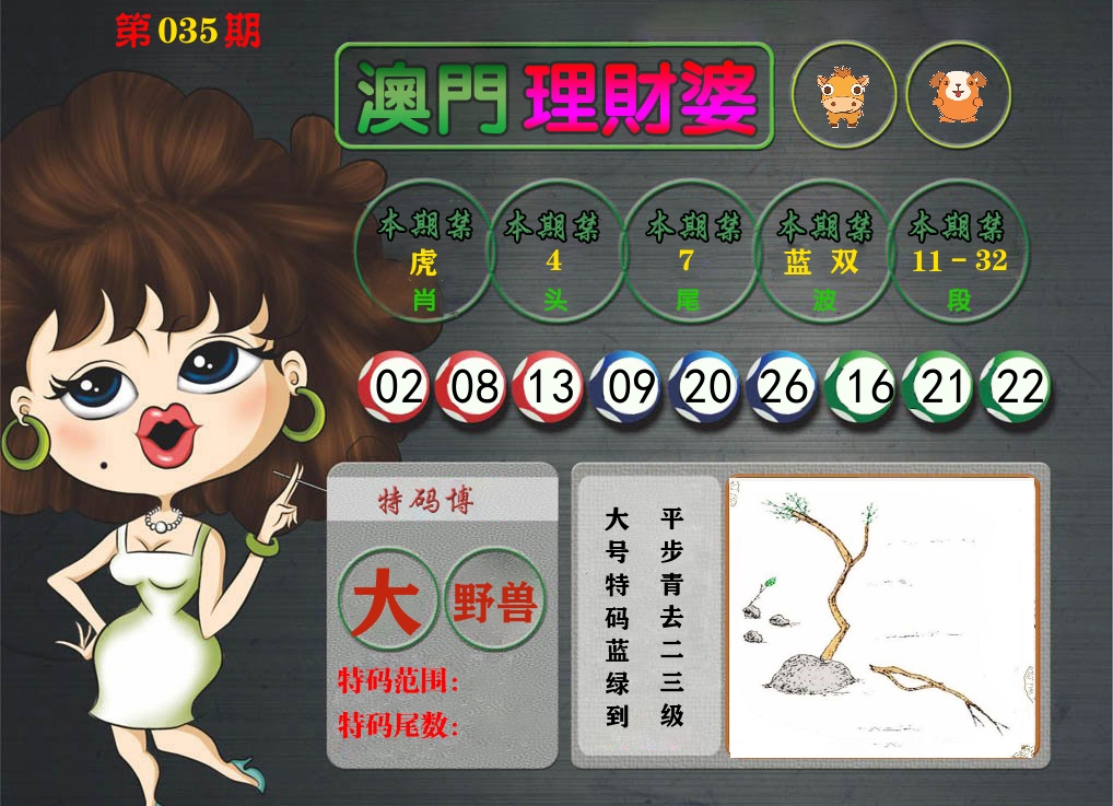 理财婆 第35期