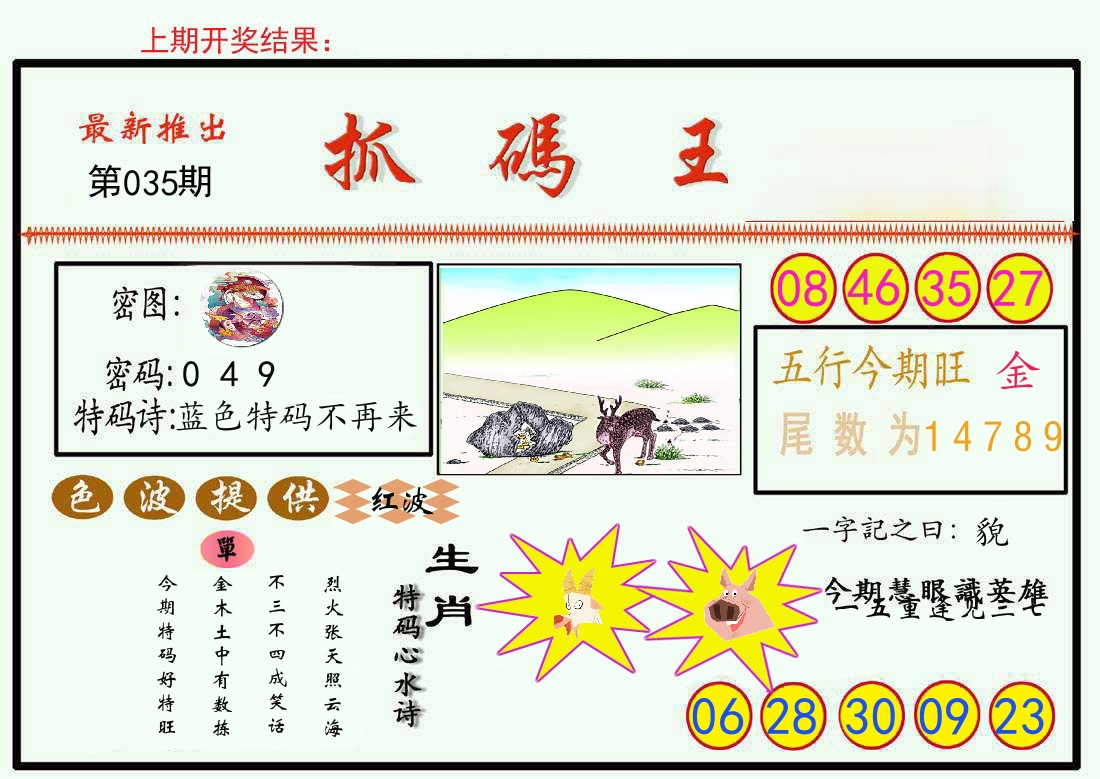 最新抓码王 第35期
