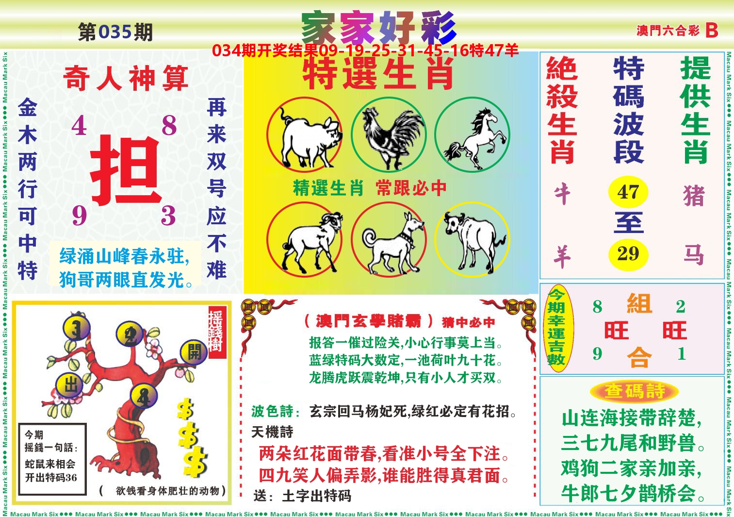 家家好彩B 第35期
