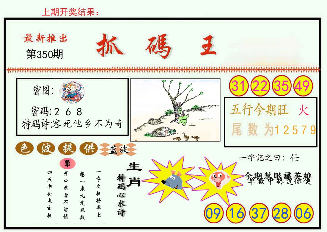 最新抓码王 第350期