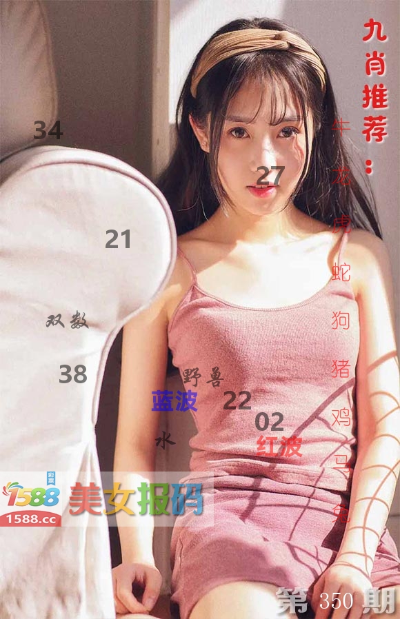 美女报码 第350期